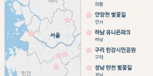 벚꽃 구경 서울 근교 갈만한곳 탑10